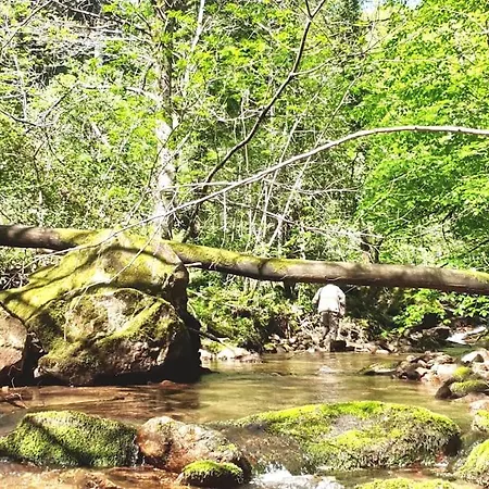 Dom wakacyjny Maison Au Calme Avec Jardin Et Parking Prive Rouairoux