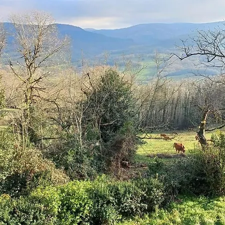 Ferienhaus Maison Au Calme Avec Jardin Et Parking Prive