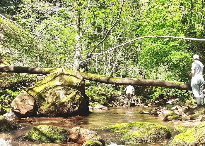 別荘 Maison Au Calme Avec Jardin Et Parking Prive Rouairoux